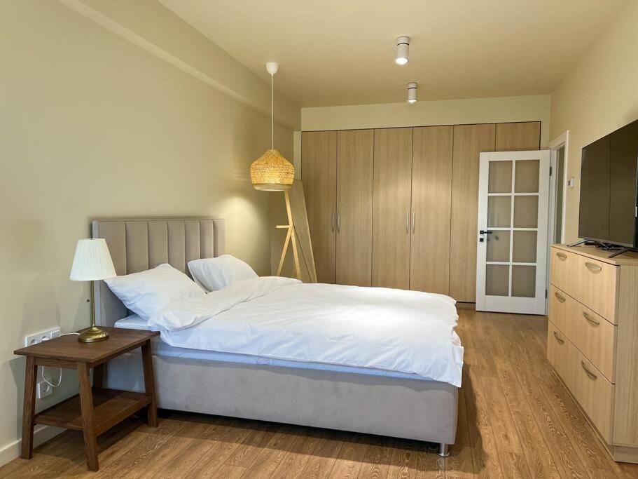 2 Bedroom On Ismail Corner Stefan Cel Mare, New Apartment, Chisinau Center! Exterior foto